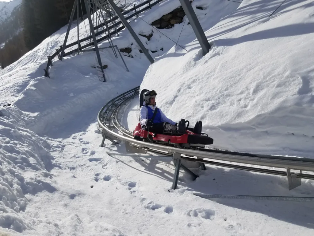 Person fährt im Wagen des Alpine Coasters bergab.
